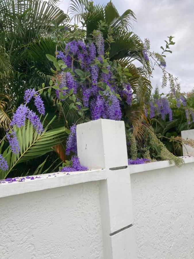Les Nuits Galantes Mandevilla Maison Privee Avec Jacuzzi Saint-Francois  Exterior photo